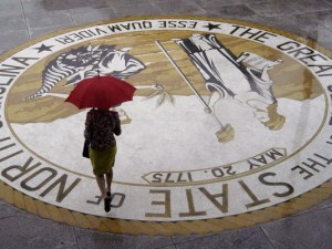 Woman at the legislature