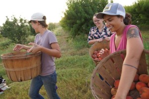 Woman farming picking fruit country working immigrant nonprofit volunteer